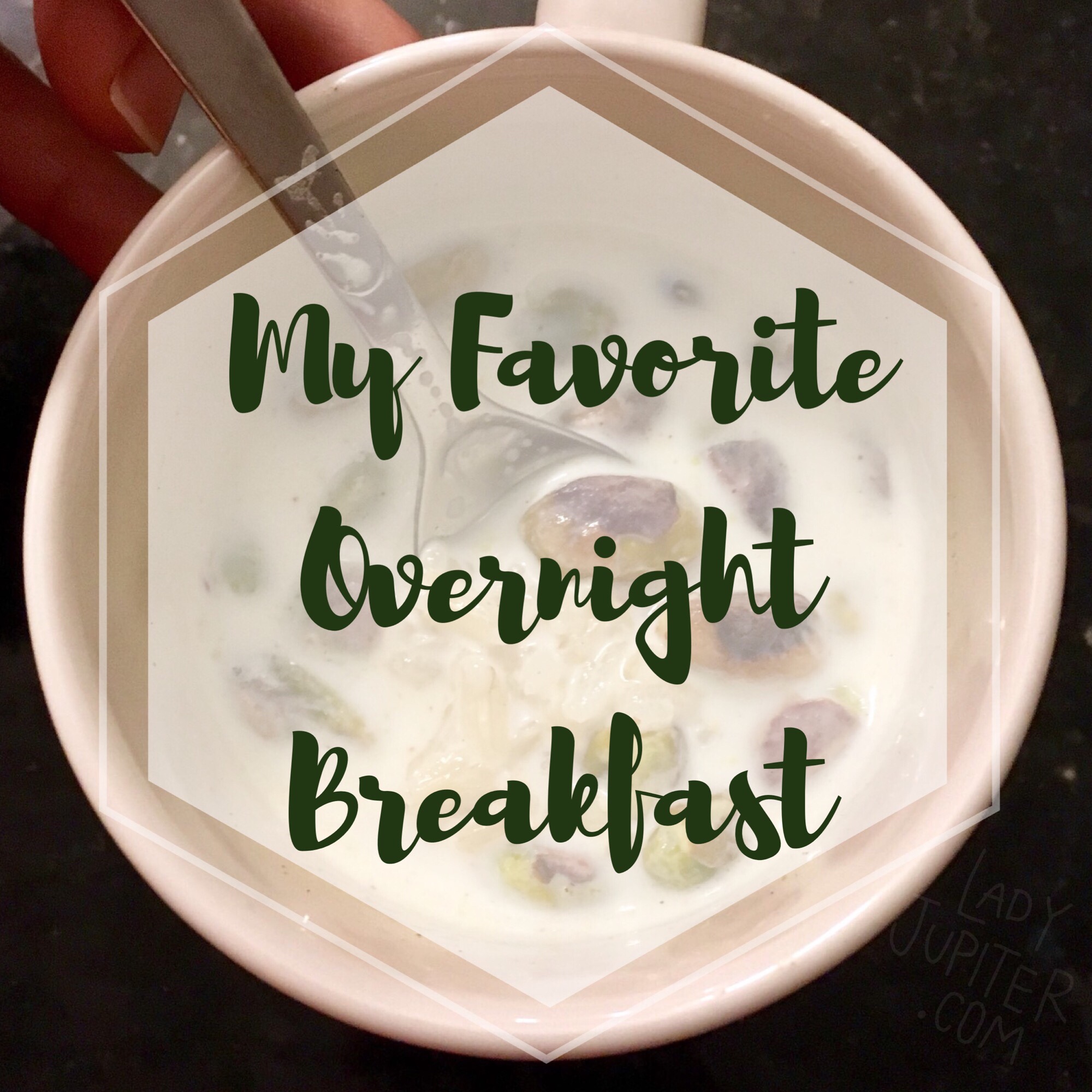 Overnight breakfast matters. Oatmeal gets boring. Here's my favorite single serving mug breakfast #mugbreakfast #indianricepudding #recipe
