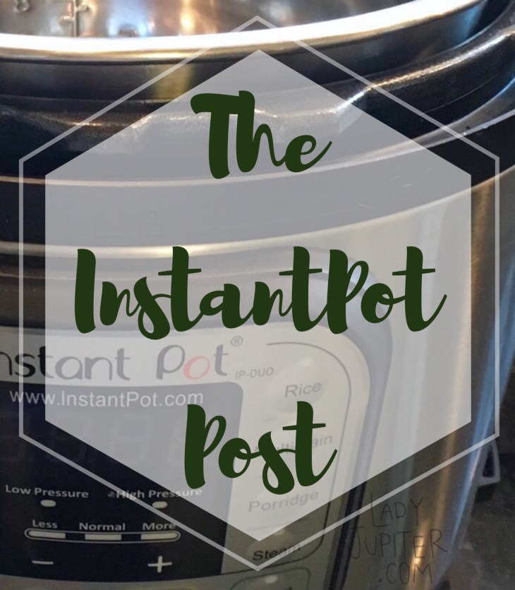 The InstantPot Post -why I love it, plus bonus recipe #InstantPot #chickenrice #goodfood