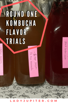 Kombucha Saga has progressed to flavor trials, success! #kombucha #experiments #milblogger