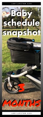 Baby schedule snapshot! Here's an overview of my three-month old's life. #Baby #ThreeMonthsOld #BabySchedule #3months