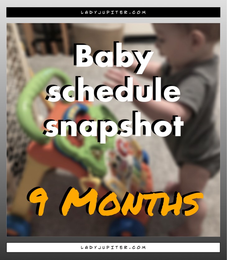 Baby schedule snapshot! Here's an overview of my nine-month old's life. #Baby #NineMonthsOld #BabySchedule #9months