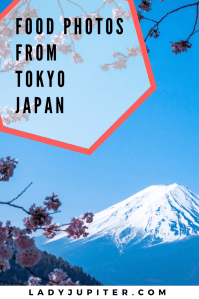 Annotated meal notes from Tokyo, Japan! #tokyo #foodphotos #japanesefood