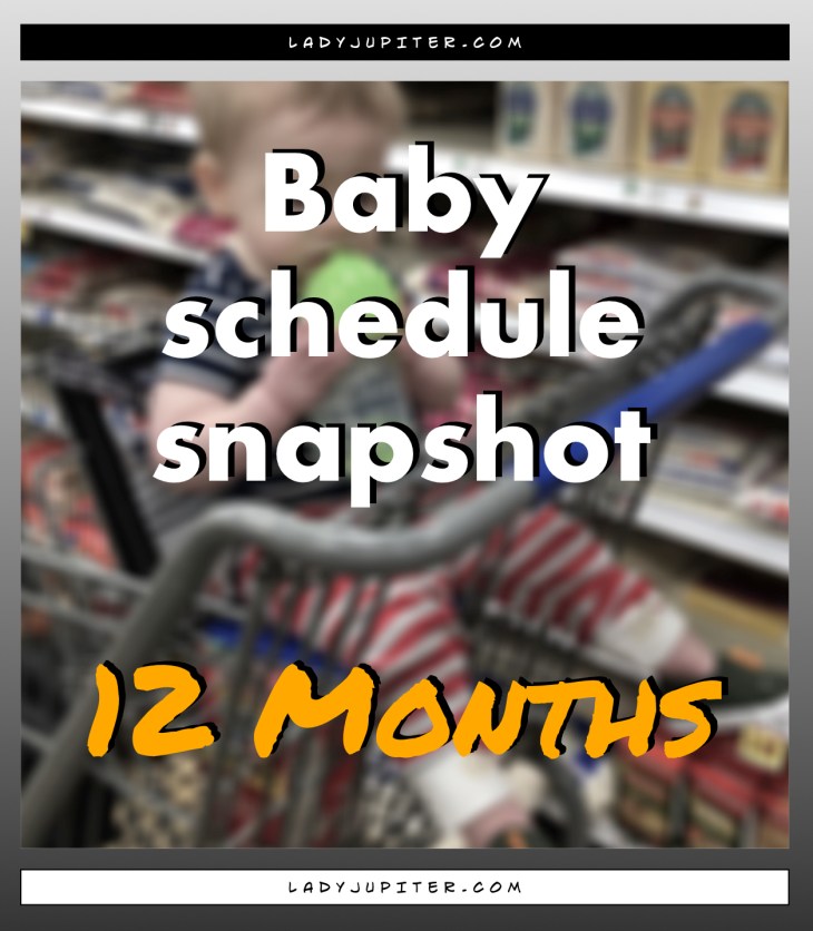 Baby schedule snapshot! Here's an overview of my twelve-month old's life. #Baby #OneYear #BabySchedule #12months #toddler #taby