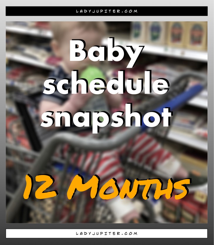 Baby schedule snapshot! Here's an overview of my twelve-month old's life. #Baby #OneYear #BabySchedule #12months #toddler #taby