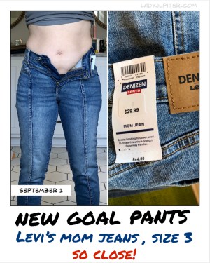 New goal pants! These barely fit right now, but I can't wait until they are comfortable. #IntermittentFasting #GoalPants #Levi'sDenizen #MomJeans