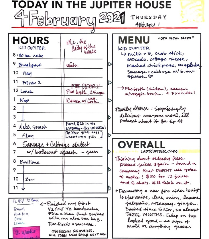 Just saving and sharing a snapshot of today. Normal life during a pandemic with a toddler. #schedule #plans #customtemplate #TerraSlate #Rocketbook