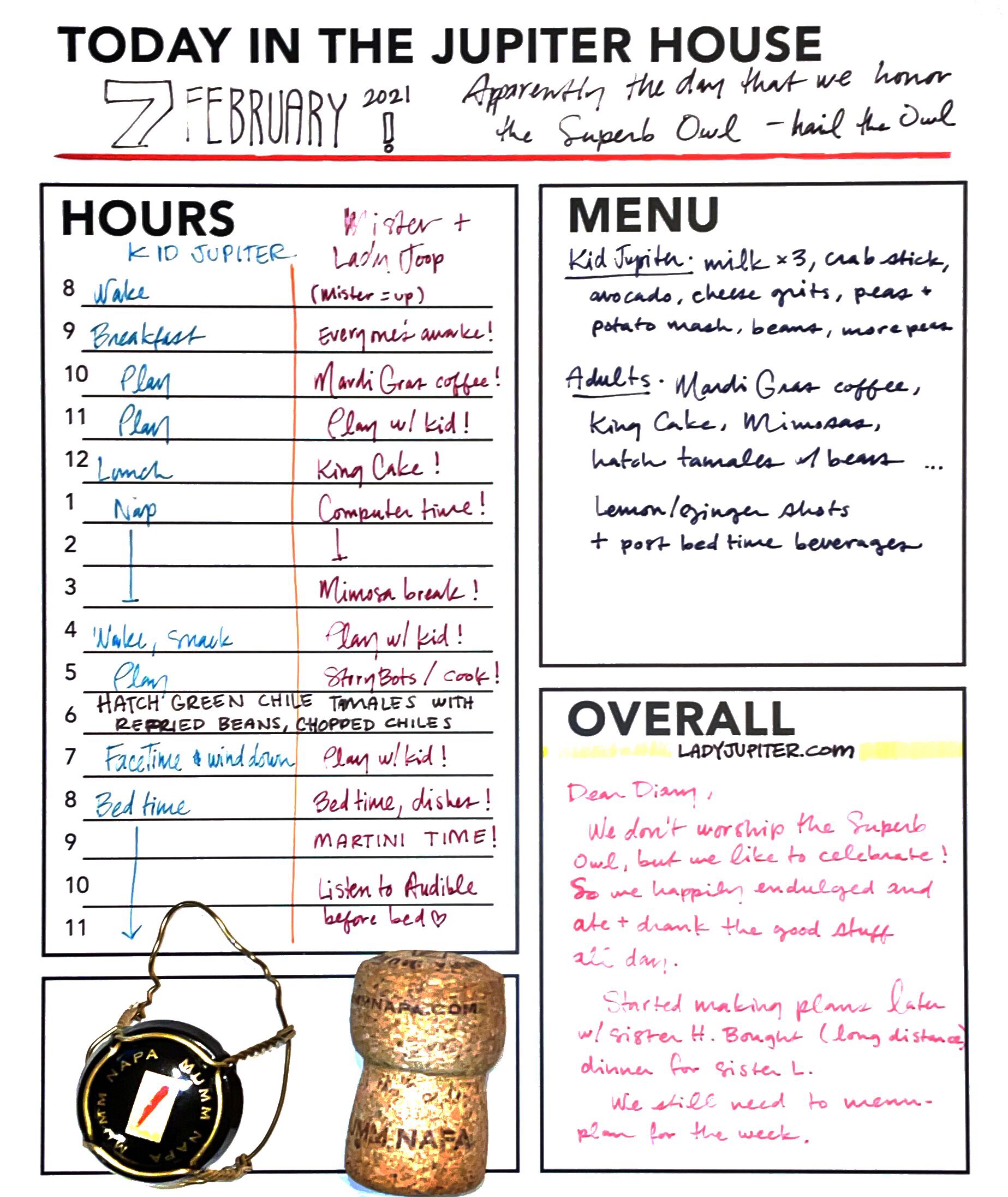 Just saving and sharing a snapshot of today. Normal life during a pandemic with a toddler. #schedule #plans #customtemplate #TerraSlate #Rocketbook