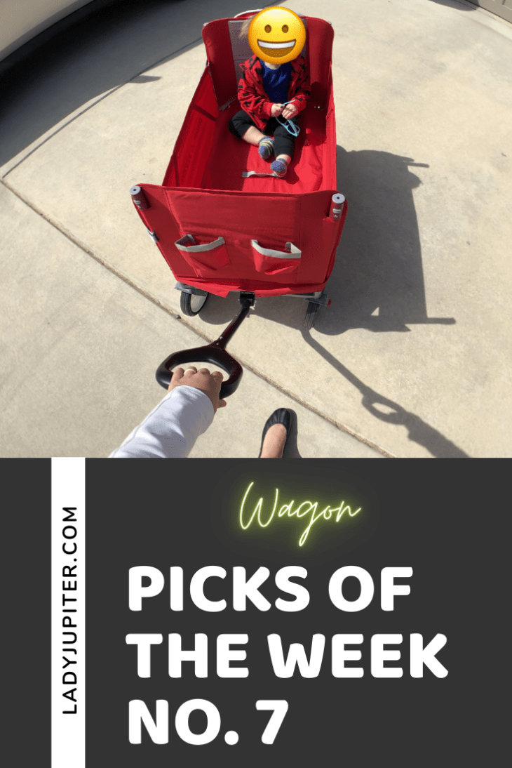 Picks of the Week, № 7. Toddler picks! These are my son's favorites. #LadyJupiter #KidJupiter #picksoftheweek