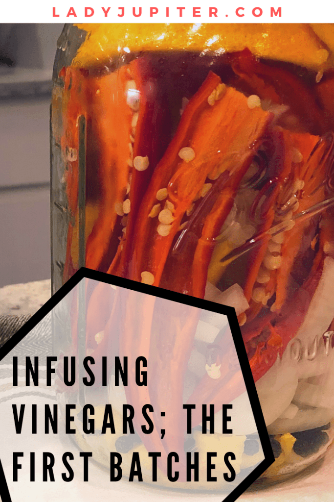 This post is all about the first vinegar batches I made after learning about fire ciders and a healthy tonic. It's a flavorful adventure that reminds my tastebuds that they are alive! #fireciders #infusedvinegar #healthytonic #yum