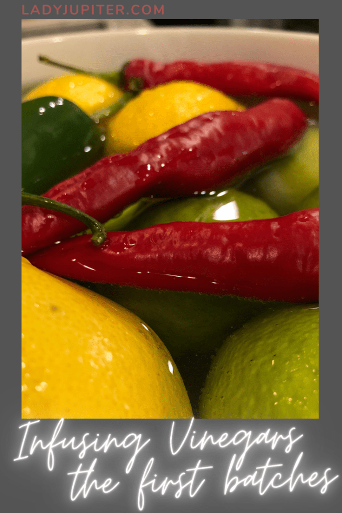 This post is all about the first vinegar batches I made after learning about fire ciders and a healthy tonic. It's a flavorful adventure that reminds my tastebuds that they are alive! #fireciders #infusedvinegar #healthytonic #yum