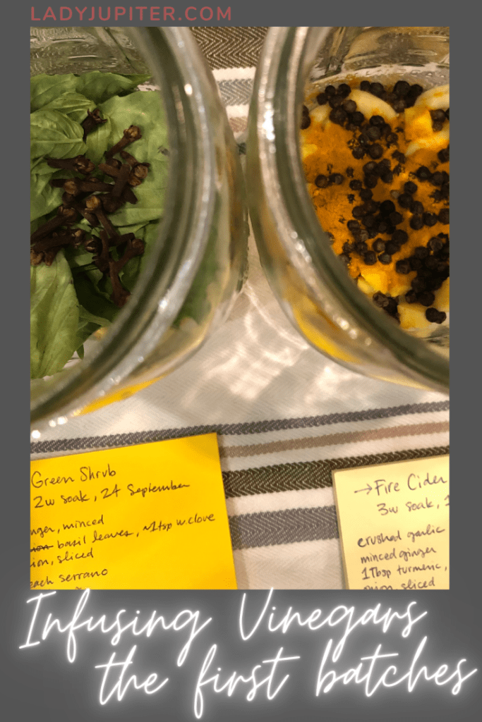 This post is all about the first vinegar batches I made after learning about fire ciders and a healthy tonic. It's a flavorful adventure that reminds my tastebuds that they are alive! #fireciders #infusedvinegar #healthytonic #yum