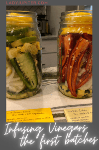 This post is all about the first vinegar batches I made after learning about fire ciders and a healthy tonic. It's a flavorful adventure that reminds my tastebuds that they are alive! #fireciders #infusedvinegar #healthytonic #yum