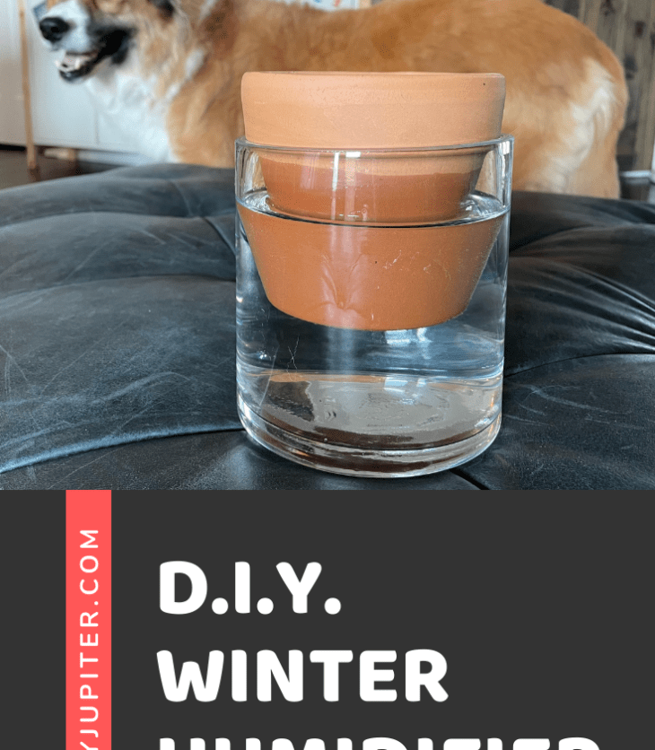 Looking for a low-tech humidifier? Here's one that I made in a pinch. It may not be super effective, but I like it. #DIY #LittleProject #DIYhumidifier #LadyJupiter