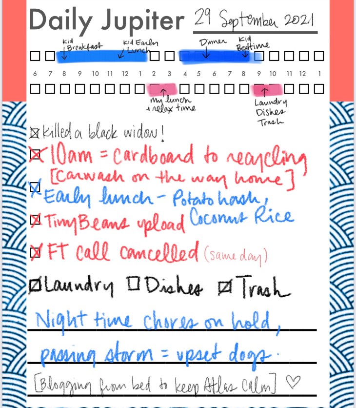 29 September - Normal day. Morning errands, evening chores paused while a storm passes. #LadyJupiter #DailyJupiter