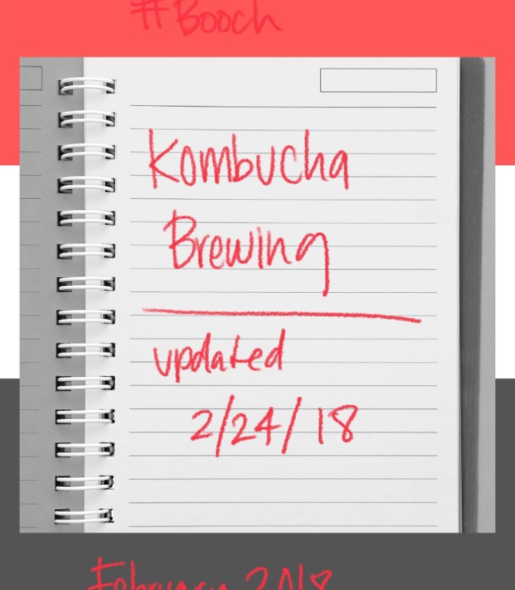 Join me on my kombucha brewing journey - this is when I learned lessons. #LadyJupiter #kombucha #updates