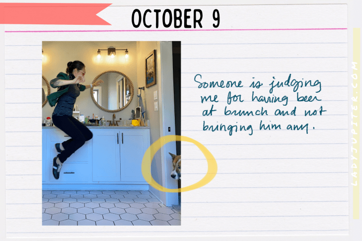 Outfits of the Day, Q4! The public closet of a hobby podcaster. #LadyJupiter #OOTD #DailyOutfits #October #Q4 #WomenWithADHD #Late30s